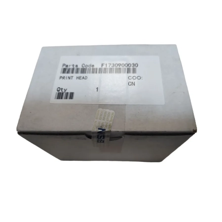 Печатающая головка Epson F173090 (оригинал)